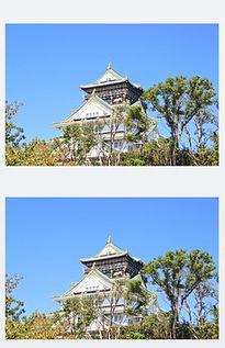 tif日本,从东京到京都的深度之旅