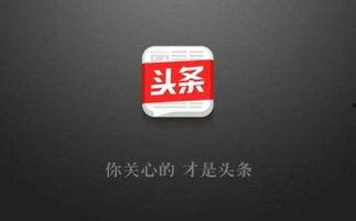 今日头条出现爆料模块,揭秘幕后真相，用户互动新体验