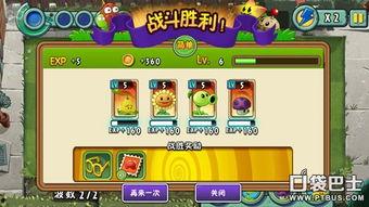 类似植物 全明星,自然界的璀璨明星风采展示