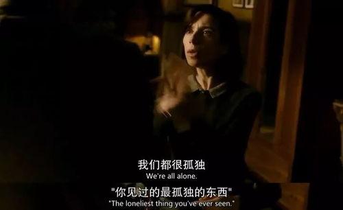 人兽交的av在哪找,探寻黑暗角落的禁忌内容