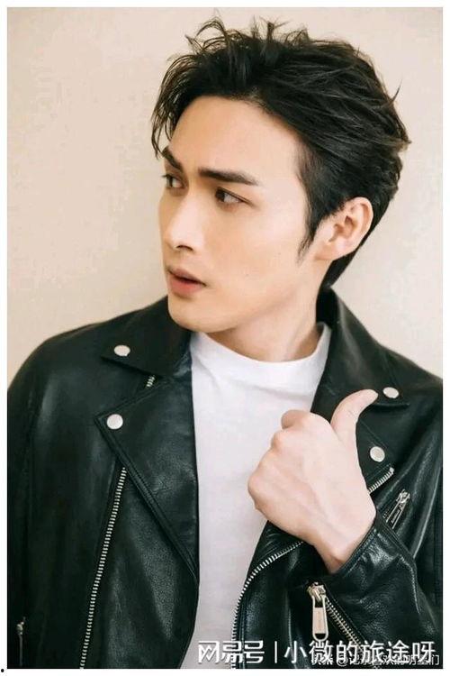 江苏的男明星,演绎时代魅力，闪耀荧屏光芒