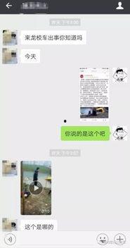 六哥爆料视频大全集,揭秘娱乐圈幕后真相