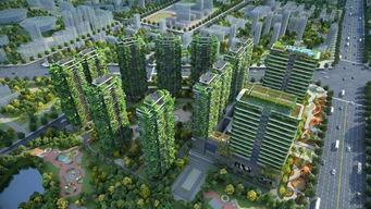 玉林中鼎房产爆料事件视频