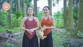 无码 野外,探寻自然之美的人与事