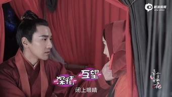 赵又廷的吻戏抹胸视频,演技与颜值并存