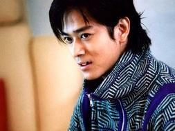 陆姓港台明星,璀璨星光下的多面人生