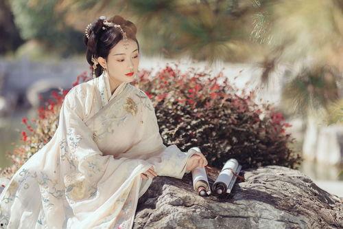 西洲曲视频,穿越时空的江南水乡风情画卷